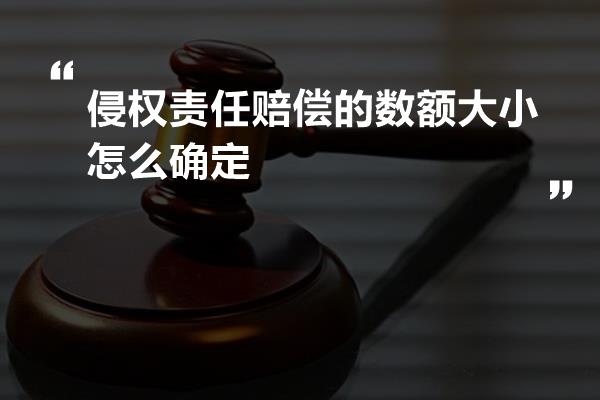 侵权责任赔偿的数额大小怎么确定