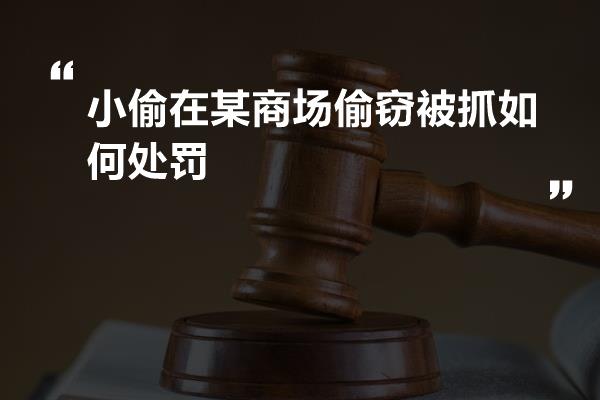 小偷在某商场偷窃被抓如何处罚