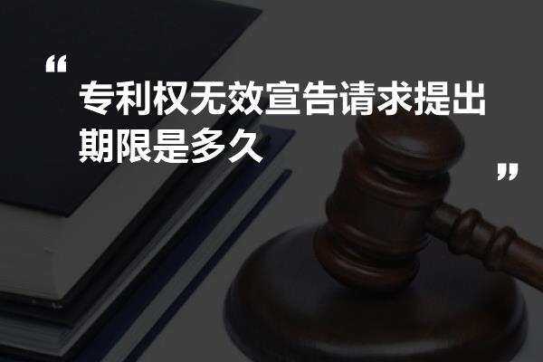 专利权无效宣告请求提出期限是多久