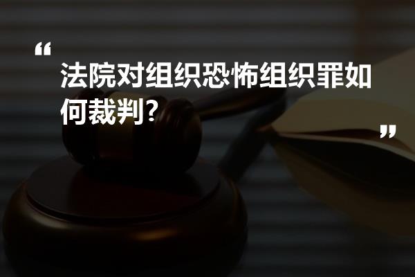 法院对组织恐怖组织罪如何裁判?