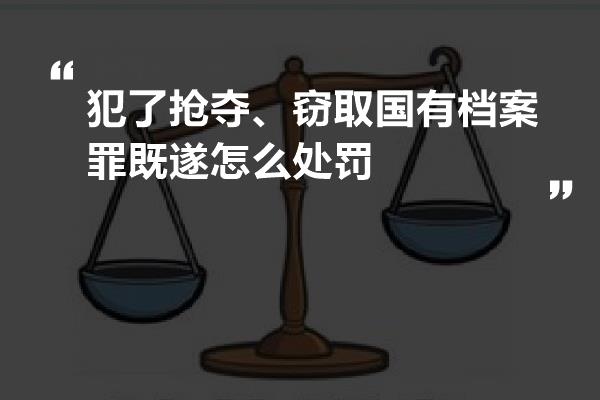 犯了抢夺、窃取国有档案罪既遂怎么处罚