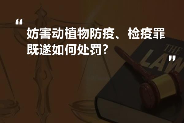 妨害动植物防疫、检疫罪既遂如何处罚?