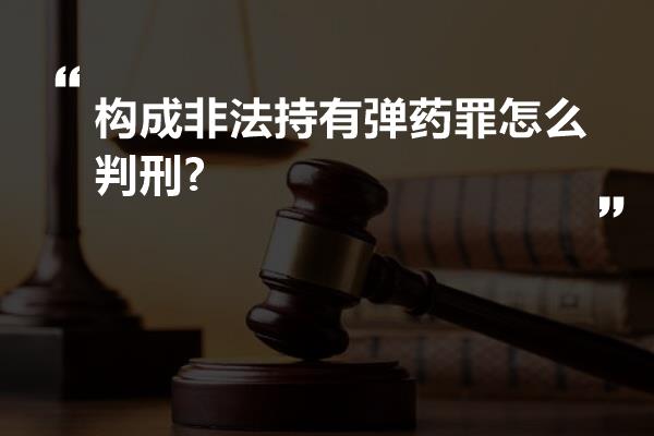 构成非法持有弹药罪怎么判刑?