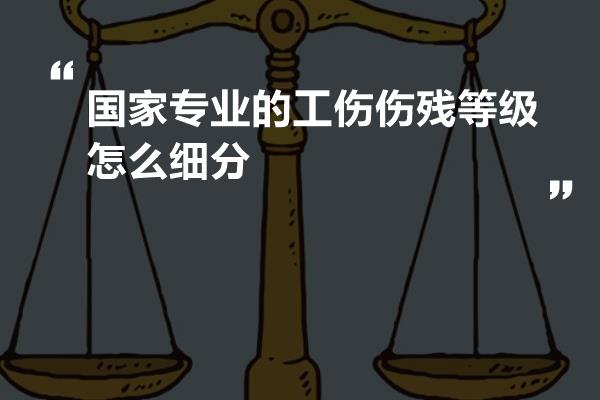 国家专业的工伤伤残等级怎么细分