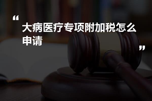 大病医疗专项附加税怎么申请