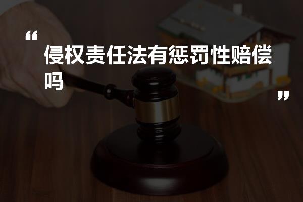 侵权责任法有惩罚性赔偿吗