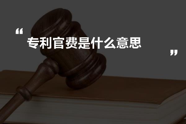 专利官费是什么意思