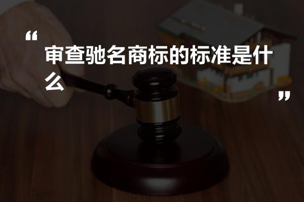 审查驰名商标的标准是什么