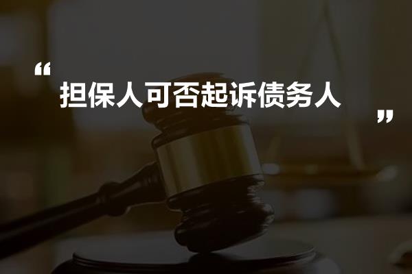 担保人可否起诉债务人