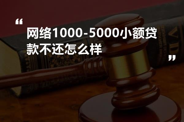 网络1000-5000小额贷款不还怎么样