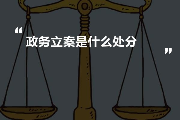 政务立案是什么处分