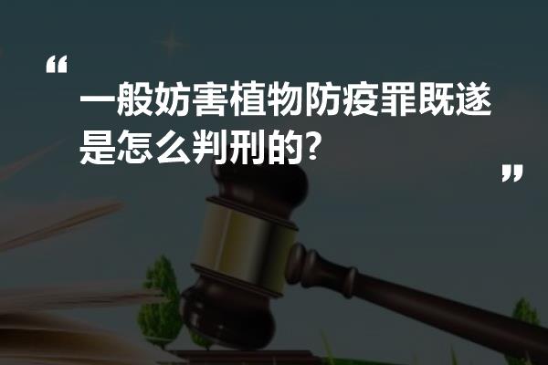 一般妨害植物防疫罪既遂是怎么判刑的?