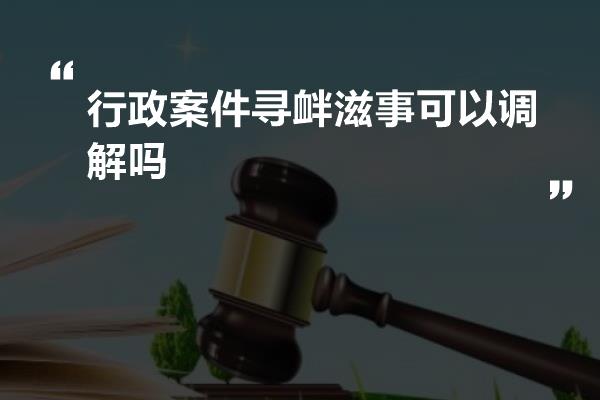 行政案件寻衅滋事可以调解吗